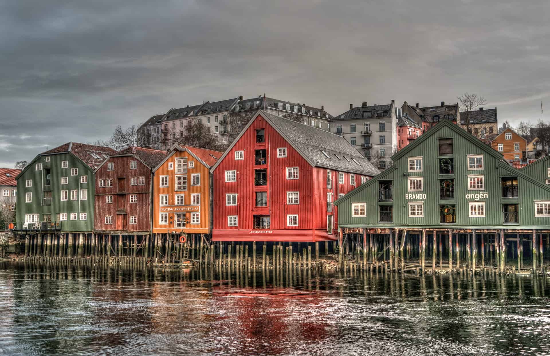 Trondheima-spēcīgo un auglīgo mājas