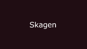 Skagen expat quick guide