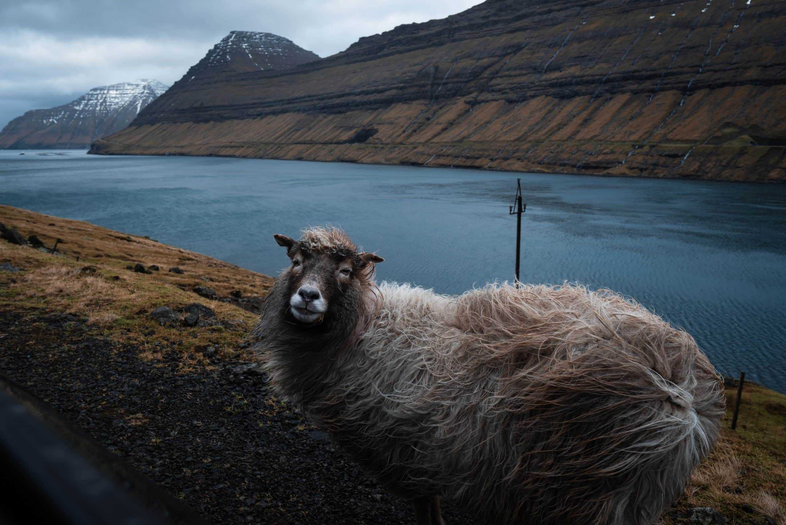 All About The Faroe Islands