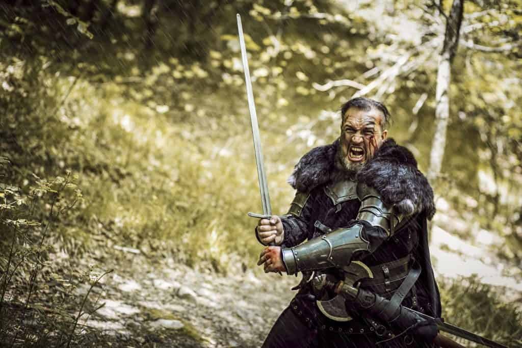 Viking Geschiedenis