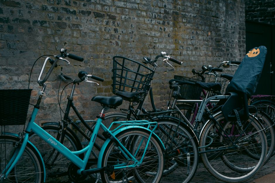 Discovering Denmark: A Guide to Culture, History, and Nature