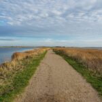 Discovering Denmark: A Journey Through Culture, Nature, and Innovation