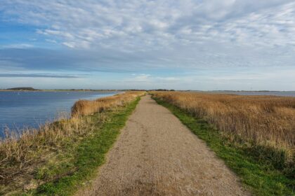 Discovering Denmark: A Journey Through Culture, Nature, and Innovation