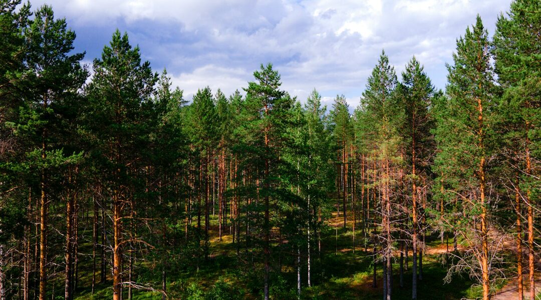 Exploring the Wonders of Finland: Culture, Nature, and Life